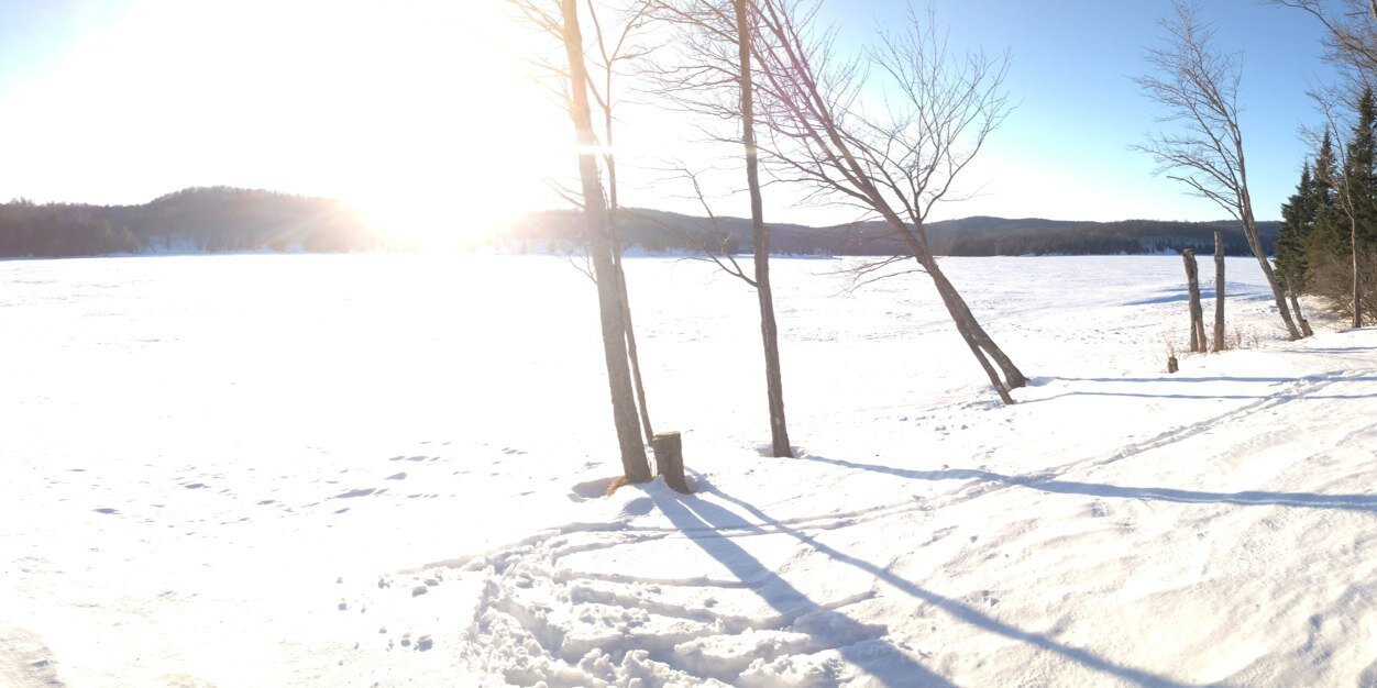 Marc Gilbertson banner