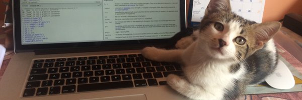 vilsurr Profile Banner