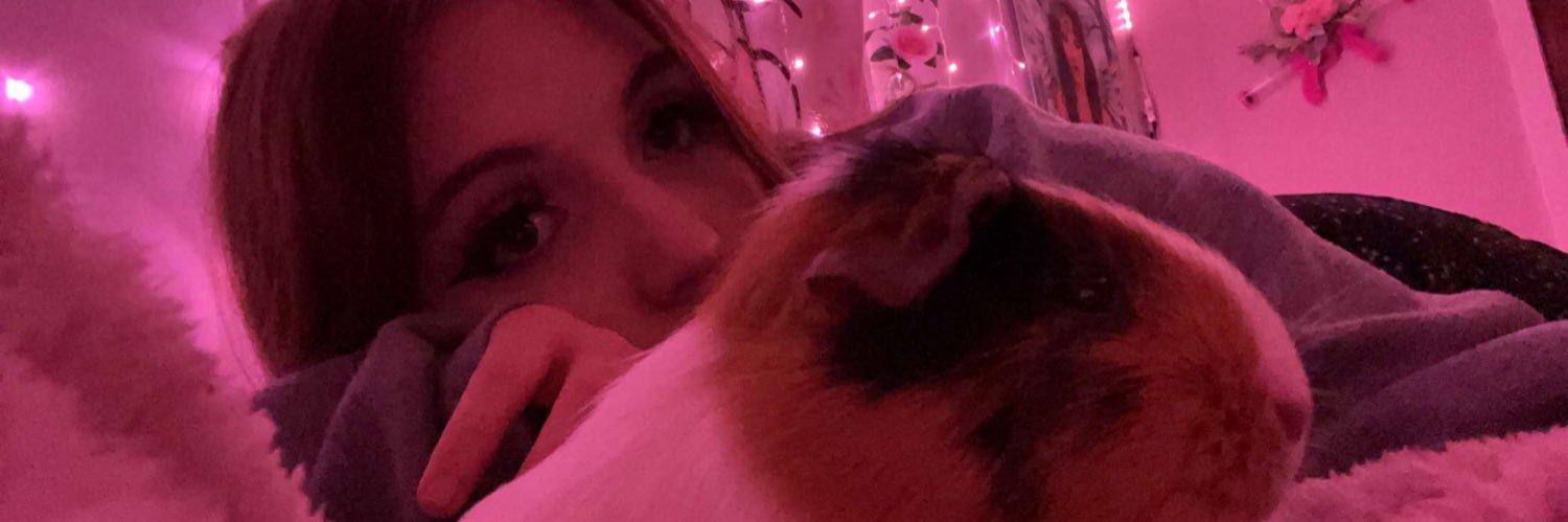 feral0's profile banner image