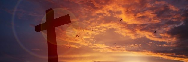 htxwilll's profile banner image