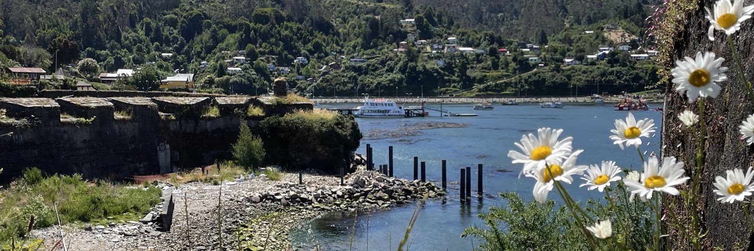 Elba Sánchez Márquez banner