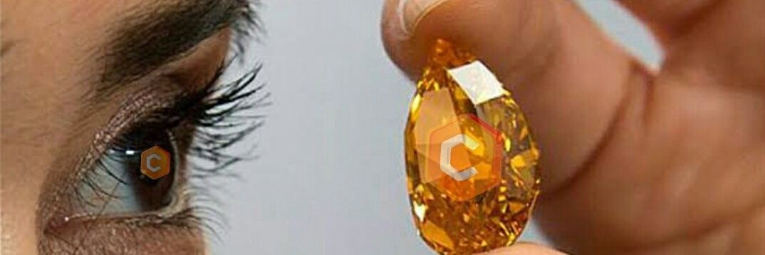 ButterflyIsiaho's profile banner image