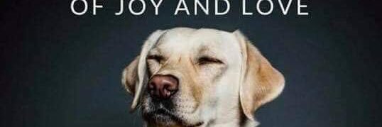 Margaret Chase banner