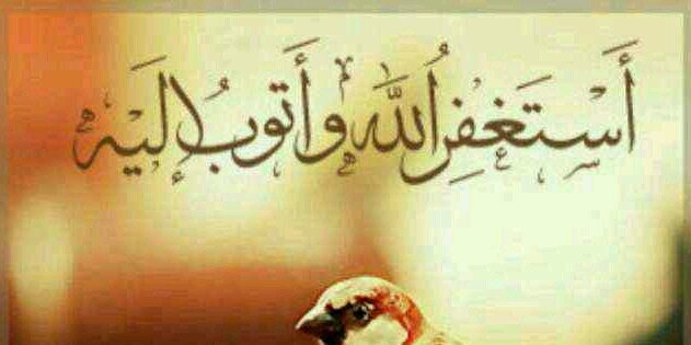 عربة نقل خيل banner