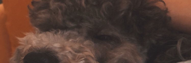 sofi141194's profile banner image