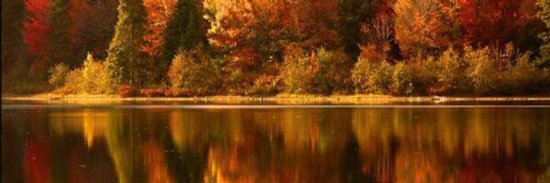 Beth banner