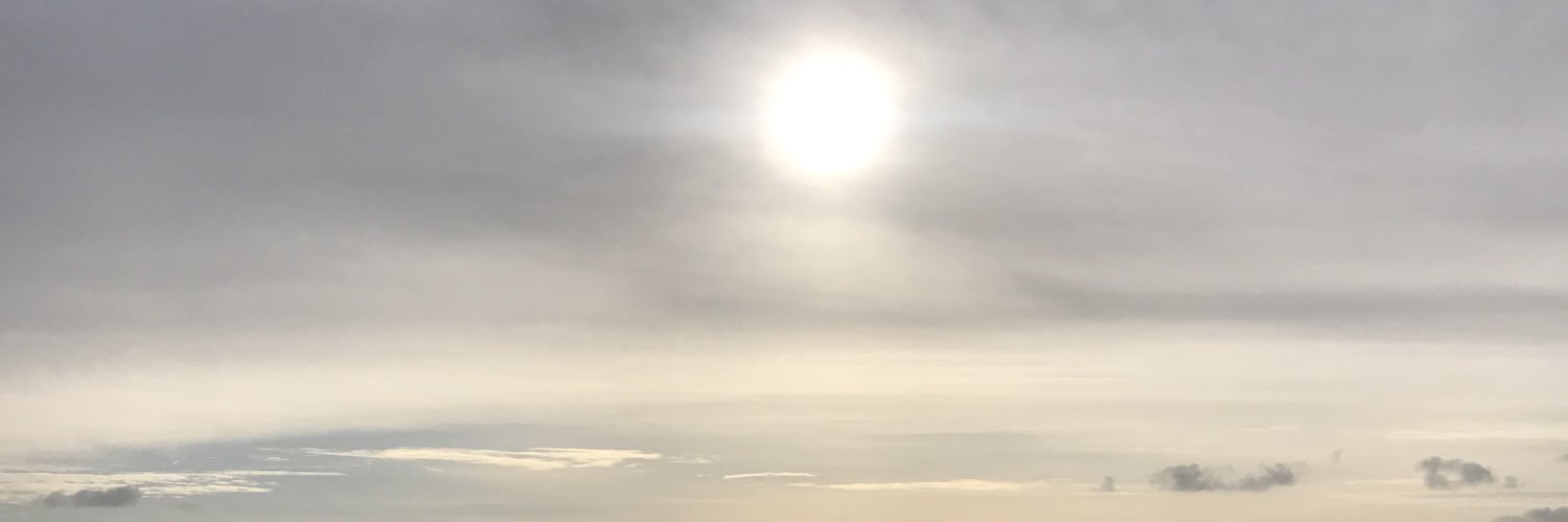 Angela Gasparetto banner