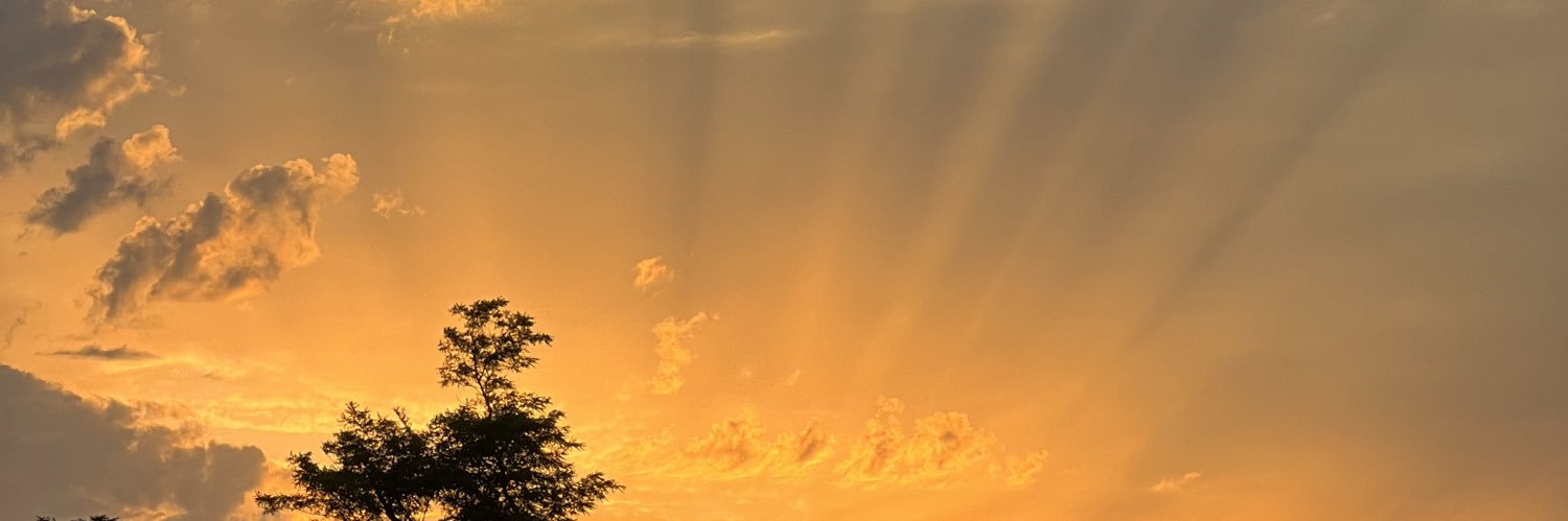 LesaIA's profile banner image