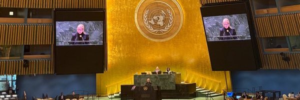 SwedenUN Profile Banner