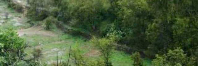 almalki5557's profile banner image