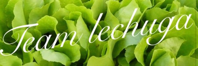 Recogelechugas's profile banner image