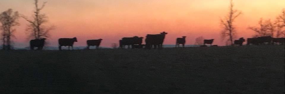 BryanBKing's profile banner image