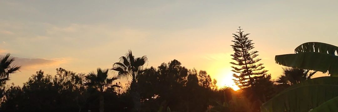 sevgirbs's profile banner image