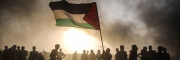 alidnzli's profile banner image
