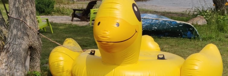 ColinHealy420's profile banner image