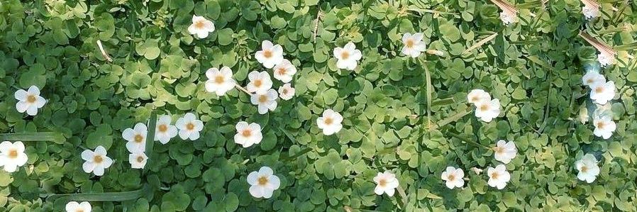 01⁷.respect.mp3 banner