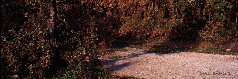jl_er1967's profile banner image
