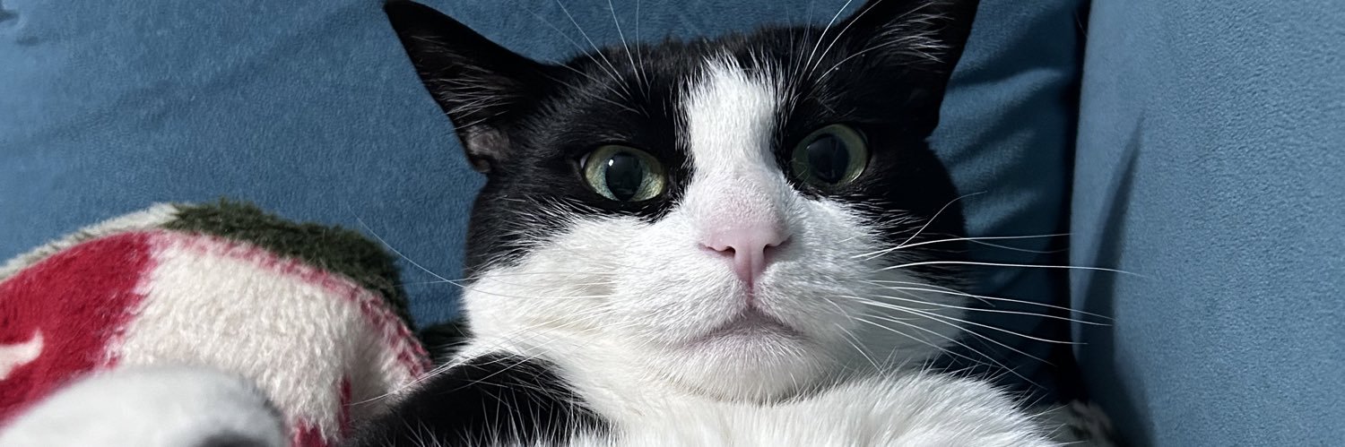 nilayayass's profile banner image