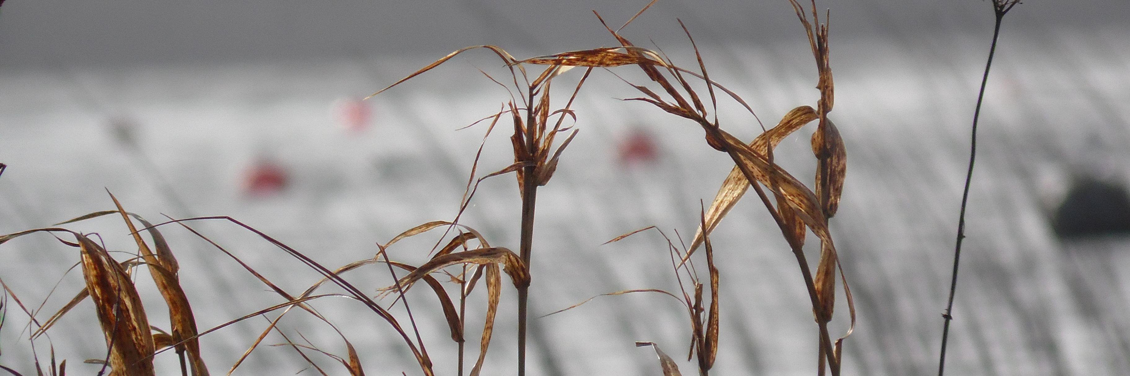 FishingonLoughDerg banner