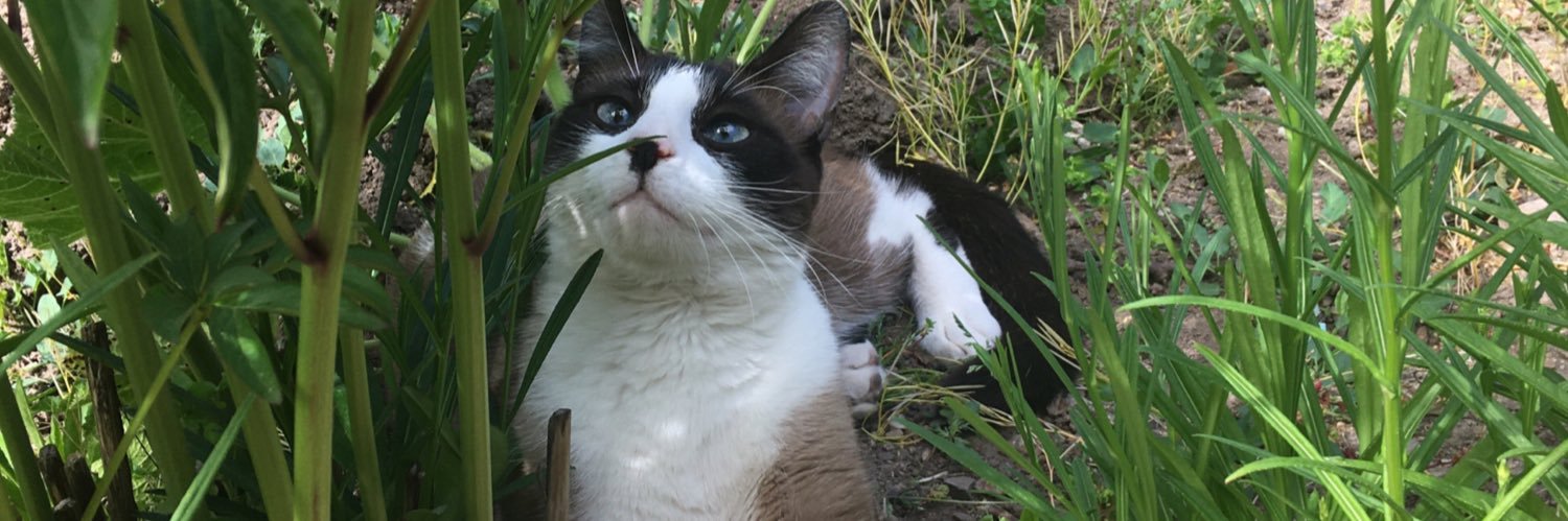 LeiberClaire's profile banner image