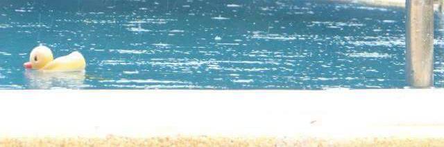 Quackers Comedy banner