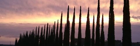 chiappiniwinery's profile banner image