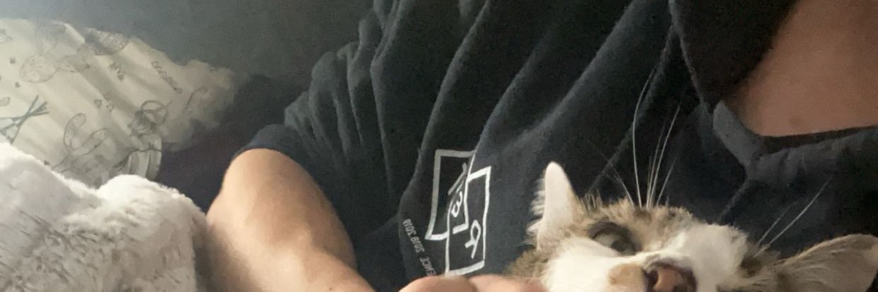 akaynnaa's profile banner image