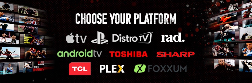 Channel Fight banner