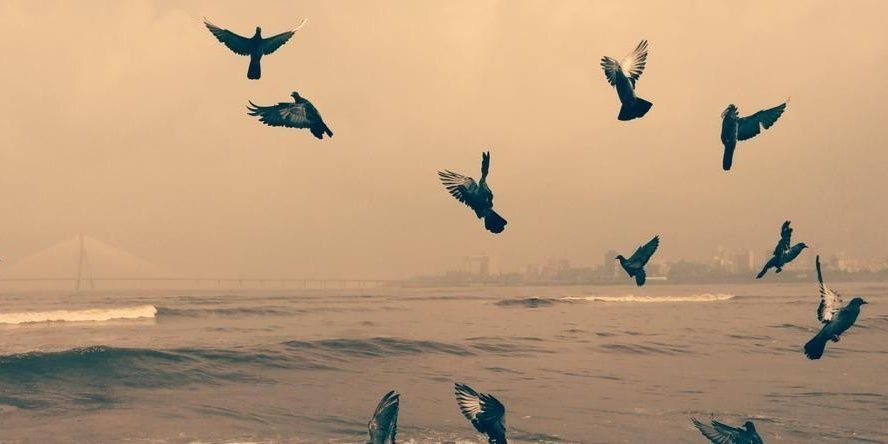 zippoistic's profile banner image