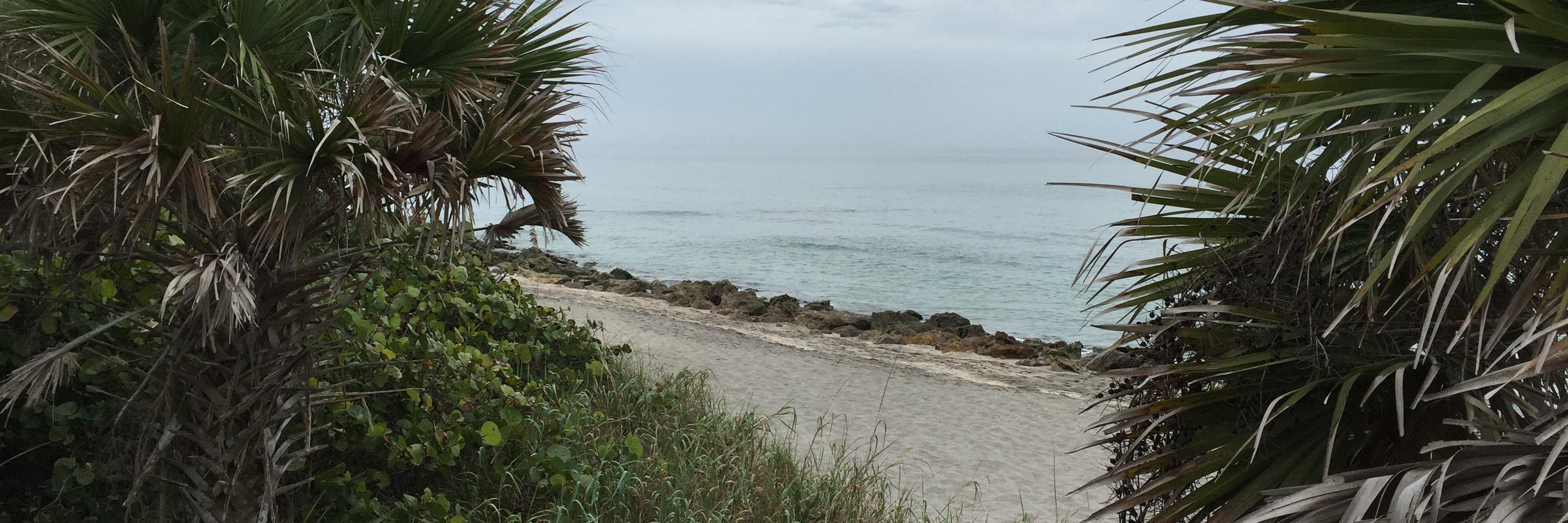 Thomas Neumann banner