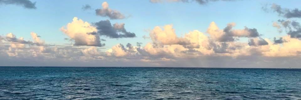 Landrylaundry's profile banner image
