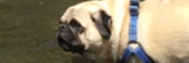 kelsgreen's profile banner image