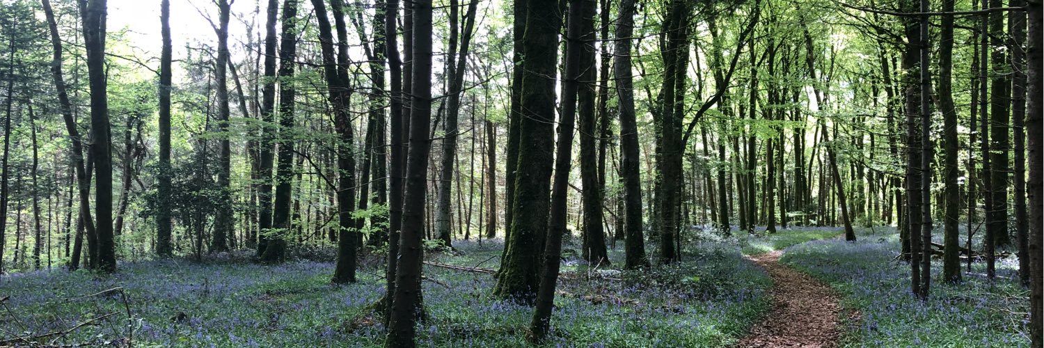 Deirdre Murphy banner