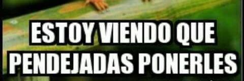 ELCRITICONASO banner