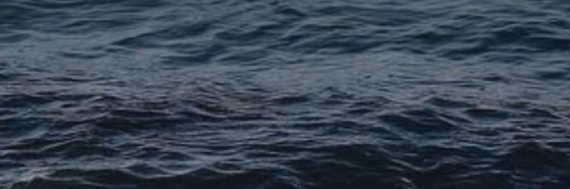 serchguzmana's profile banner image