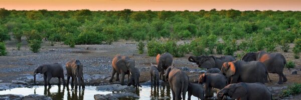 Jpbeauch Profile Banner