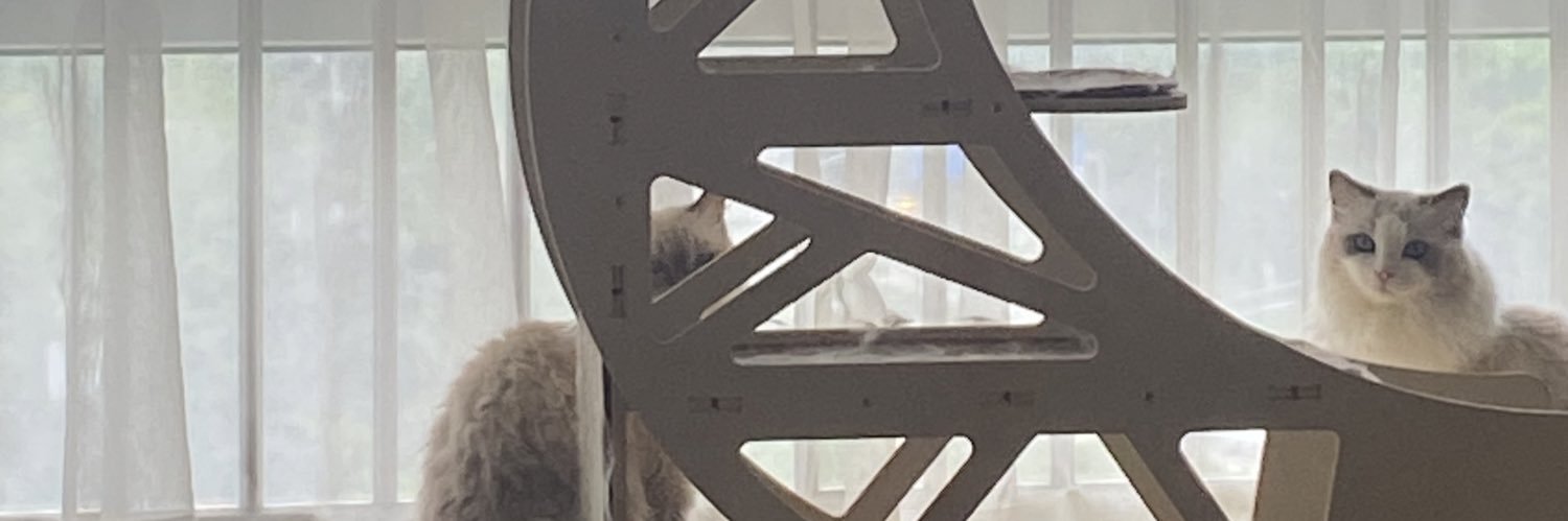 0xChris banner