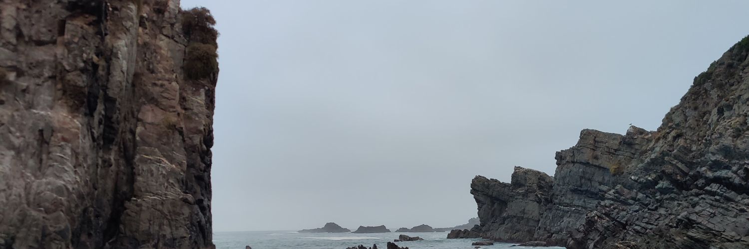 LeonardSander24's profile banner image
