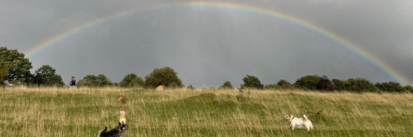 BiancaRomanyk Profile Banner