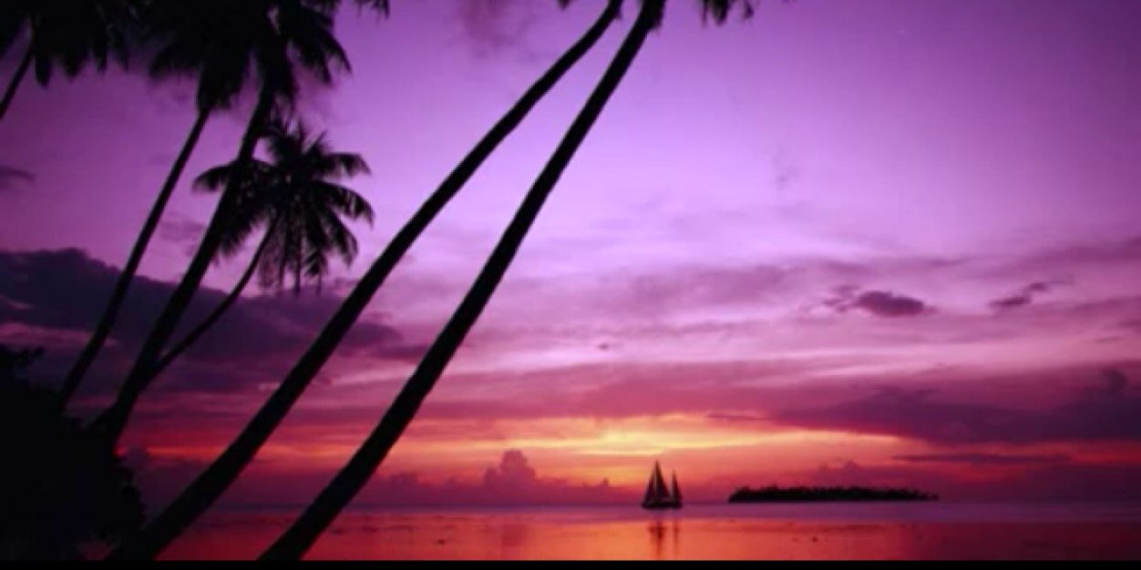 aloave1's profile banner image