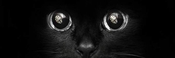 Input_d3vices's profile banner image