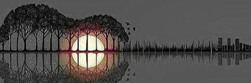 abenk_ami's profile banner image