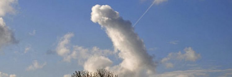 IdiotequeMCMXCV's profile banner image