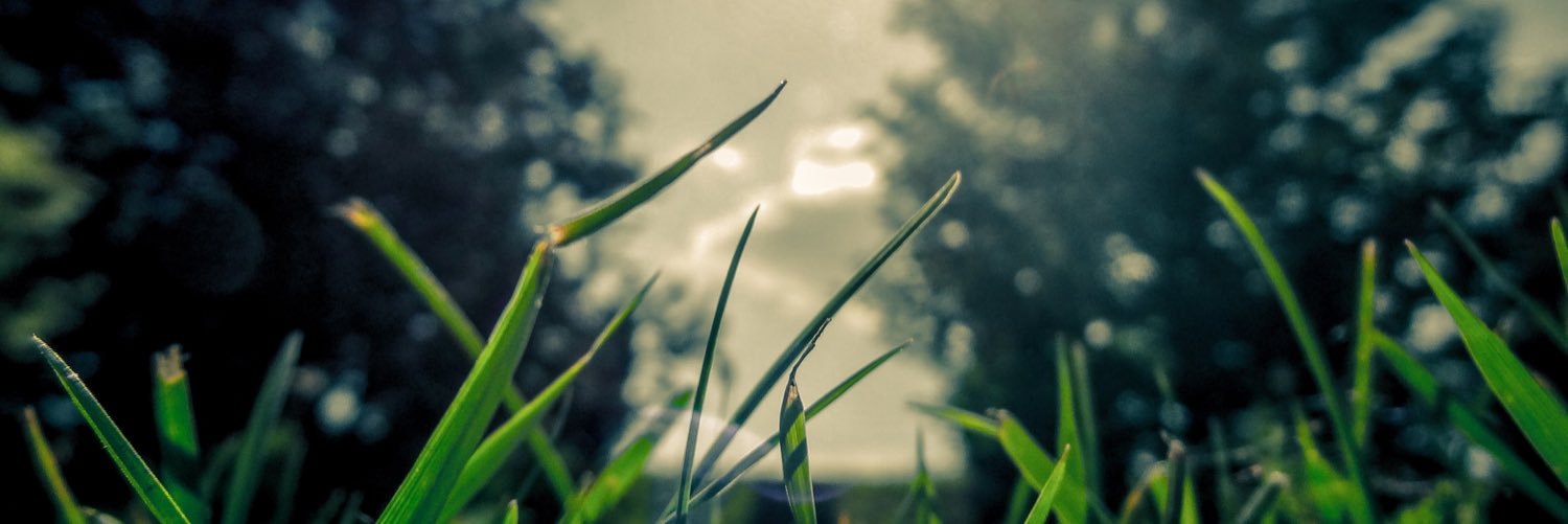 WSydneywilliam1's profile banner image