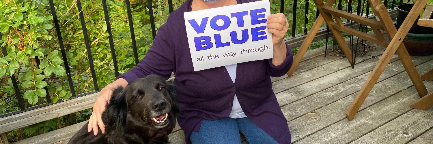 JillShafHam's profile banner image