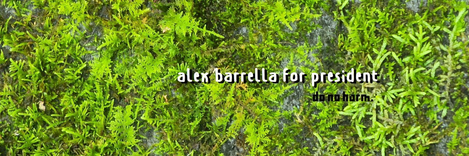 AlexBarrella's profile banner image