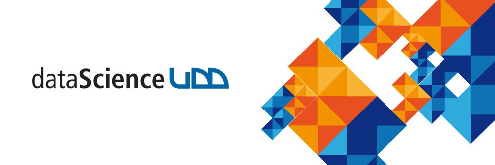 DataScienceUDD banner