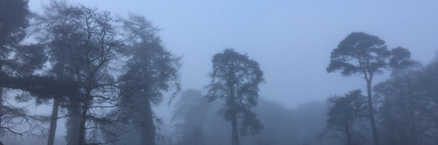 markglynch's profile banner image