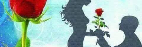 fatma8516's profile banner image
