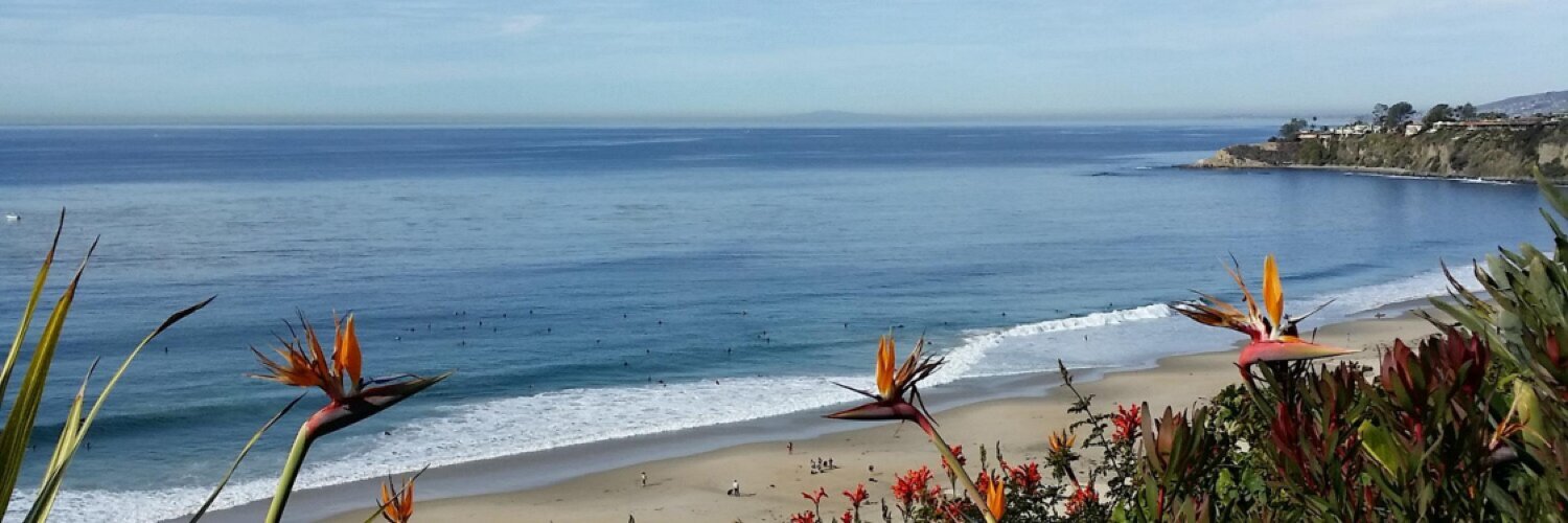 TheAustinBlood's profile banner image